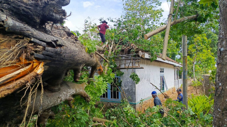 Rumah Tertimpa Pohon Tumbang di Sagaranten Sukabumi, Penghuni Selamat saat Salat