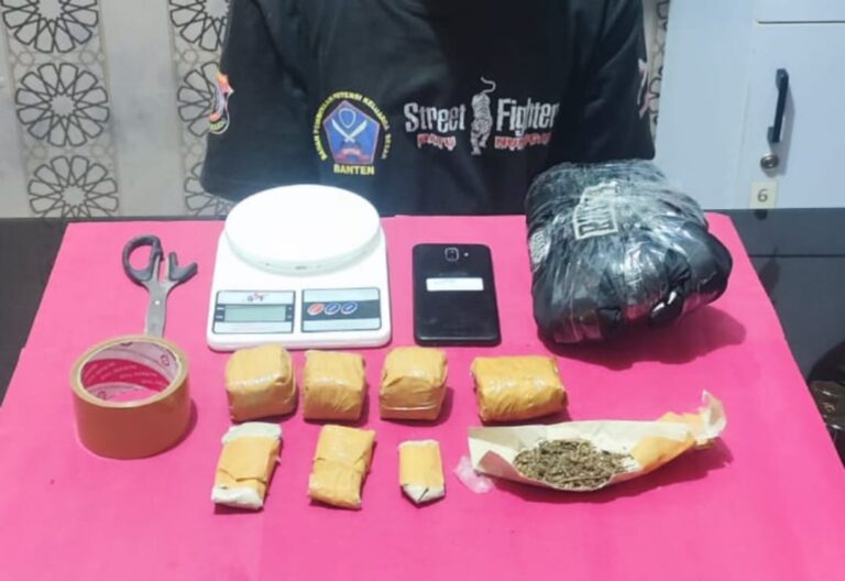 2 Terduga Pelaku Pengedar Ganja Ditangkap Polres Sukabumi Kota, Barbuk 1,52 Kg Disita