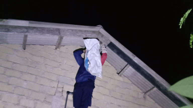 Sarang Tawon Resahkan Warga di Ciracap Sukabumi, Petugas Damkar Pos XI Surade Lakukan Evakuasi