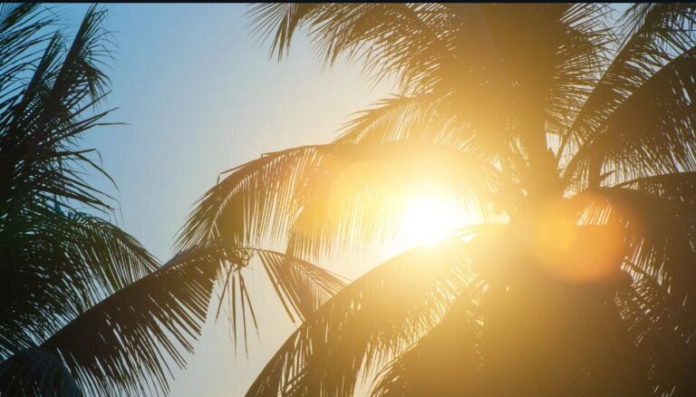 BMKG: 2024 Catatkan Suhu Tertinggi, Jadi Tahun Terpanas dalam Sejarah