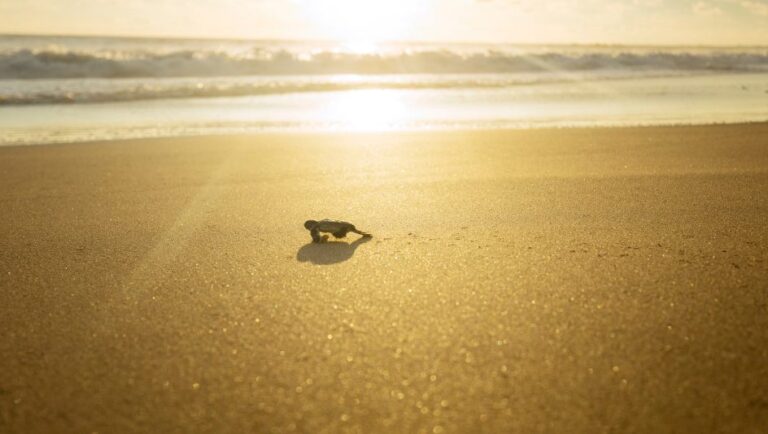 Liburan Sekolah Seru di Sukabumi, Ini 3 Wisata Alam yang Wajib Dikunjungi