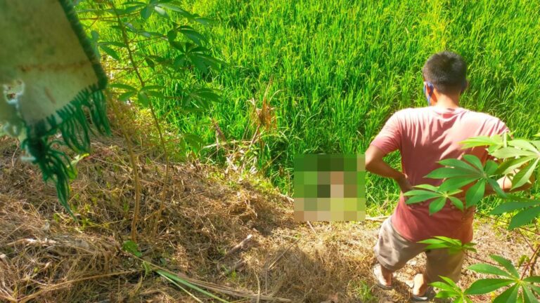 Geger Mayat Petani Membusuk di Persawahan Surade Sukabumi