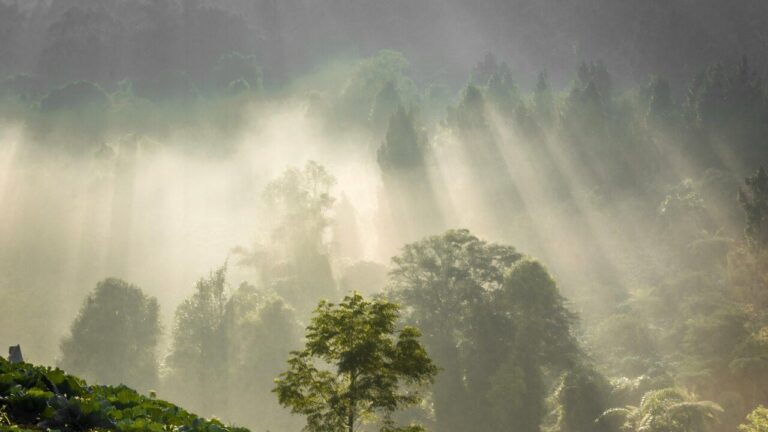 Musim Kemarau Belum Stabil, BMKG Minta Masyarakat hingga Sektor Transportasi Waspada Cuaca Ekstrem