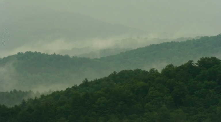 Benarkah Suhu Dingin Juli Akibat Aphelion? Ini Penjelasan BMKG