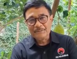 Djarot Kritik Vonis Hasto: ‘Tangkap Dulu Harun Masiku, Jangan Politisasi Hukum!’