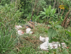 Truk Bermuatan Pupuk Terjun ke Jurang Letter S Cikidang, Sopir Alami Patah Kaki