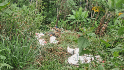 Truk Bermuatan Pupuk Terjun ke Jurang Letter S Cikidang, Sopir Alami Patah Kaki