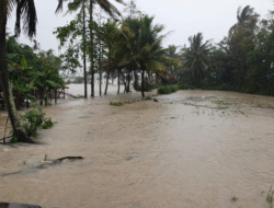 BPBD Sukabumi: Banjir Rendam Ratusan Hektare Sawah dan Ancam 200 Rumah di Tegalbuleud