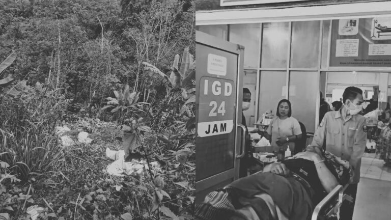 Truk Bermuatan Pupuk Terjun ke Jurang Letter S Cikidang, Sopir Alami Patah Kaki