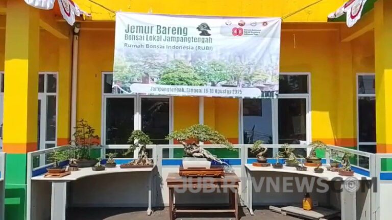 Video: Kontes Bonsai di Jampangtengah Sukabumi: Antara Seni, Nilai Ekonomi, hingga Pelestarian Alam