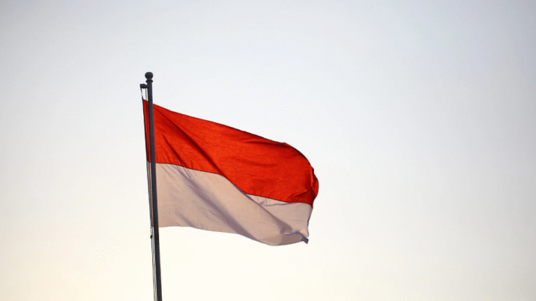 Kembali Dibuka! Warga Bisa Daftar Upacara 17 Agustus 2025 di Istana, Cek Syarat dan Linknya