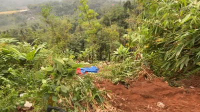 Kronologi Truk Bermuatan Pupuk Terjun ke Jurang di Letter S Cikidang Sukabumi