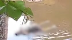 Sesosok Mayat Ditemukan Mengapung di Kolam Rawa, Warga Sagaranten Sukabumi Heboh