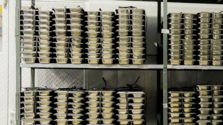 BGN Buka Layanan Hotline untuk Pengaduan Program MBG, Ini Nomornya