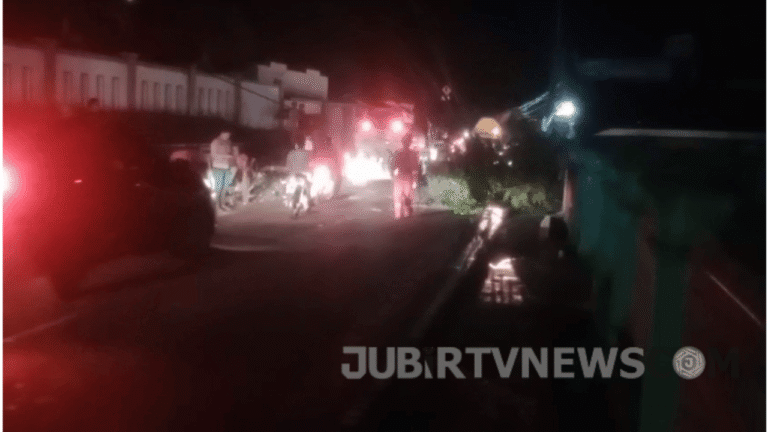 Video: Hujan dan Angin Kencang, Pohon Mangga Tumbang Tutup Akses Jalan di Jampangkulon Sukabumi