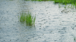 Waspada Cuaca Ekstrem! BMKG: Hujan Lebat Berpotensi Terjadi di Jawa Barat dan Wilayah Lain