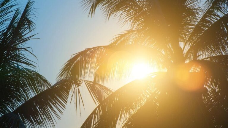 BMKG Jelaskan Penyebab Cuaca Panas Ekstrem di Indonesia, Suhu Capai 37,6°C