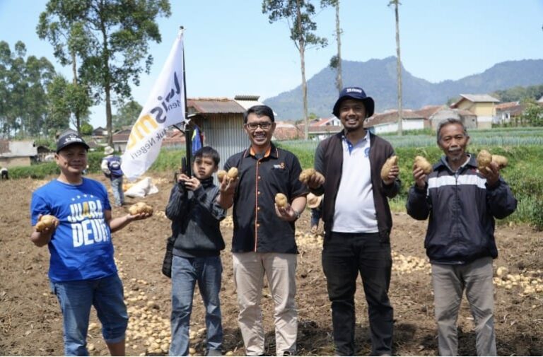 Program Tani Bangkit Lazismu Jabar Bantu Atasi Masalah Modal Petani Kentang di Bandung