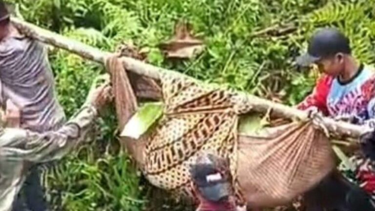 Hanyut Saat Seberangi Sungai Cisodong, Warga Cisolok Sukabumi Ditemukan Meninggal Dunia