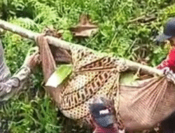 Terpeleset Saat Seberangi Sungai Cisodong, Warga Cisolok Sukabumi Hanyut dan Meninggal Dunia