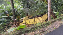 Kecelakaan Lalu Lintas di Cisolok Sukabumi: Truk Terperosok ke Jurang, Sopir Diduga Mengantuk