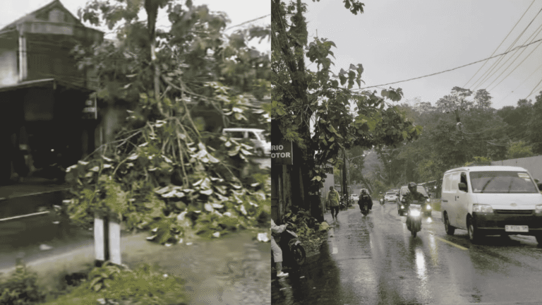 Dahan Pohon Patah Tutup Jalan Palabuhanratu Sukabumi saat Hujan Angin, Lalu Lintas Sempat Terhambat