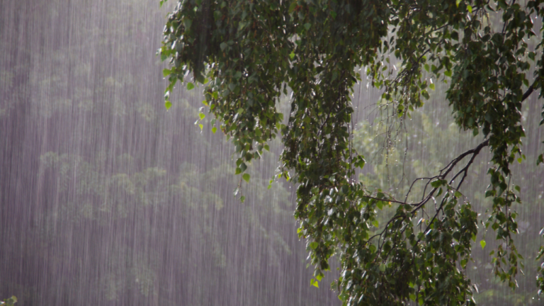 Prakiraan Cuaca Jabar 15 Desember 2025, Sejumlah Daerah Berpotensi Diguyur Hujan