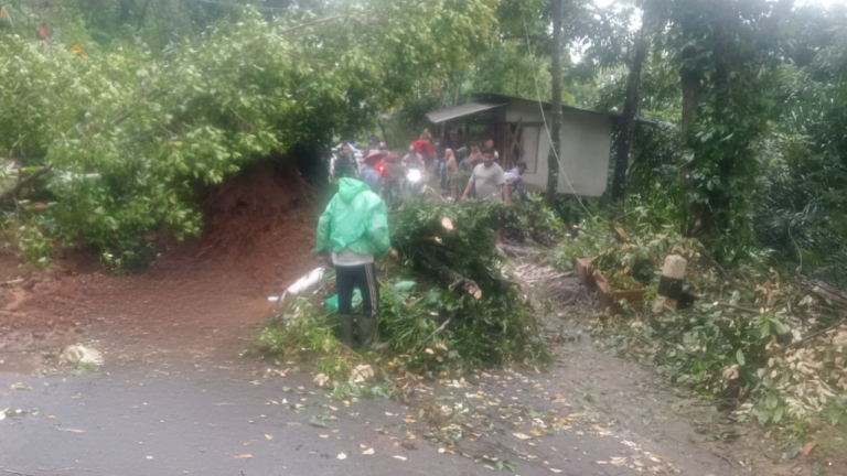 Tanah Longsor Tutup Sebagian Jalur Nasional Bagbagan–Kiaradua Sukabumi, Lalu Lintas Buka Tutup