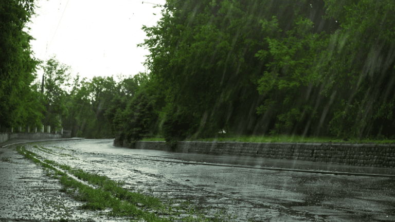 Prakiraan Cuaca 21 Desember 2025, Potensi Hujan Merata di Hampir Seluruh Wilayah