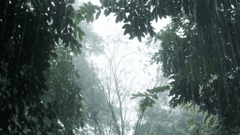 Prakiraan Cuaca Jabar 4 Januari 2026, Sejumlah Wilayah Berpotensi Diguyur Hujan saat Akhir Pekan