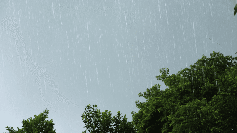 Prakiraan Cuaca Jabar 5 Januari 2026, Hujan Ringan hingga Sedang Berpotensi Siang–Sore Hari