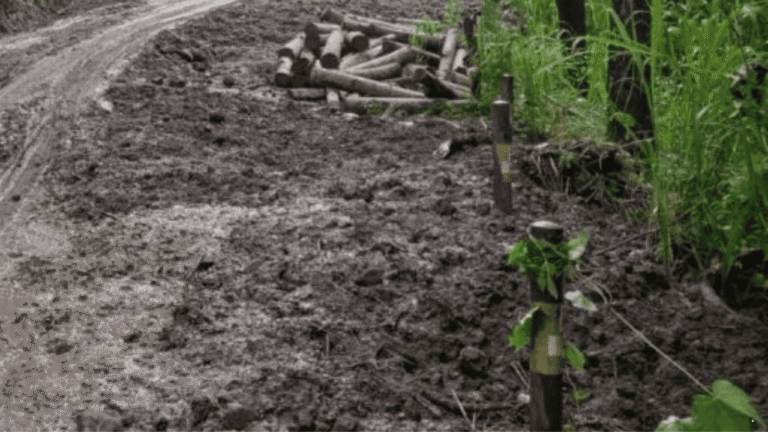 Cuaca Ekstrem Picu Sejumlah Bencana, Longsor hingga Pergeseran Tanah Terjadi di Sukabumi Awal 2026