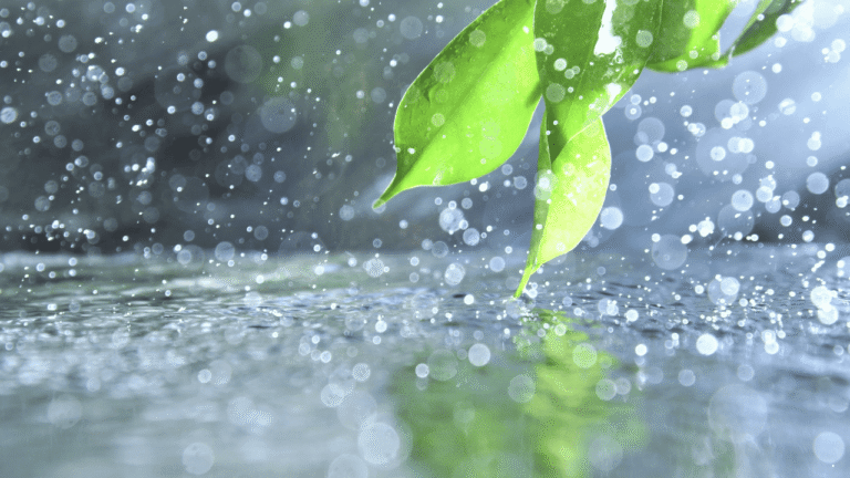 Prakiraan Cuaca Jabar 14 Januari 2026, Sejumlah Daerah Berpotensi Diguyur Hujan Seharian