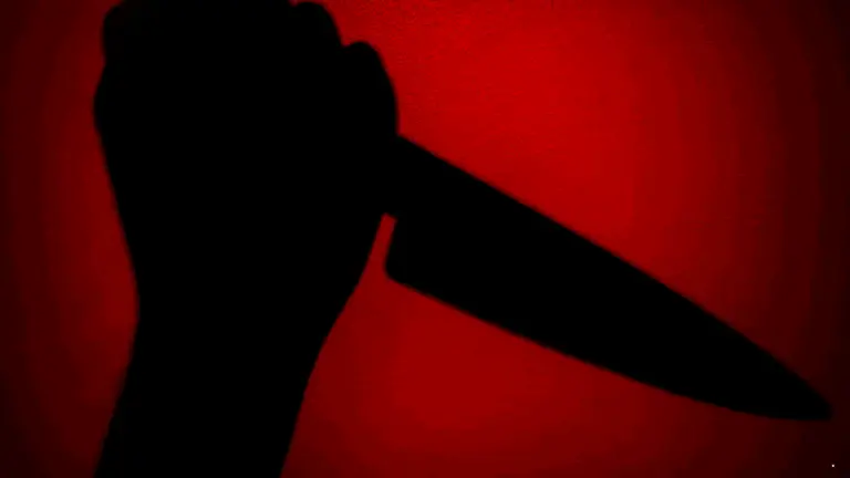 Pohon Jengkol Picu Penusukan Paman terhadap Keponakan di Simpenan Sukabumi