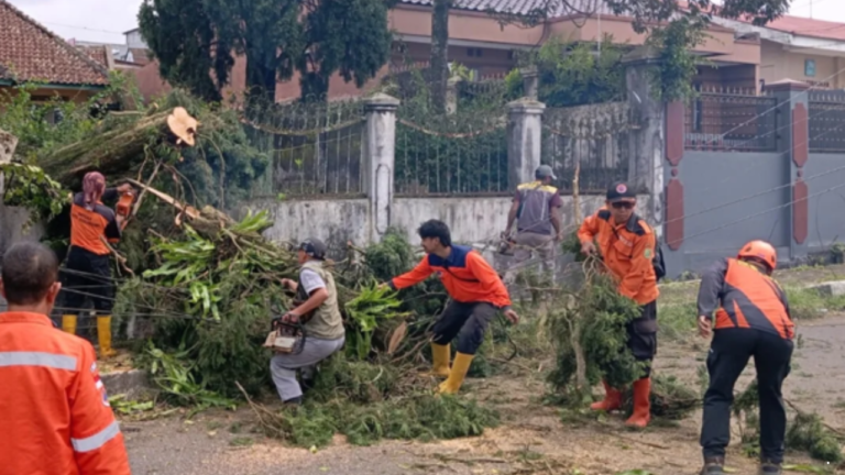 Angin Kencang Terjang Kota Sukabumi, Belasan Pohon Tumbang dan Sejumlah Rumah Rusak