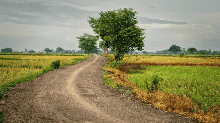Prakiraan Cuaca Jabar 10 Februari 2026, Waspada Hujan Disertai Petir dan Angin Kencang di Sejumlah Wilayah