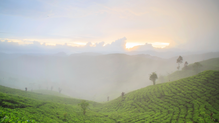 Prakiraan Cuaca Jabar 17 Februari 2026, Potensi Petir dan Angin Kencang Mengintai di Sejumlah Wilayah