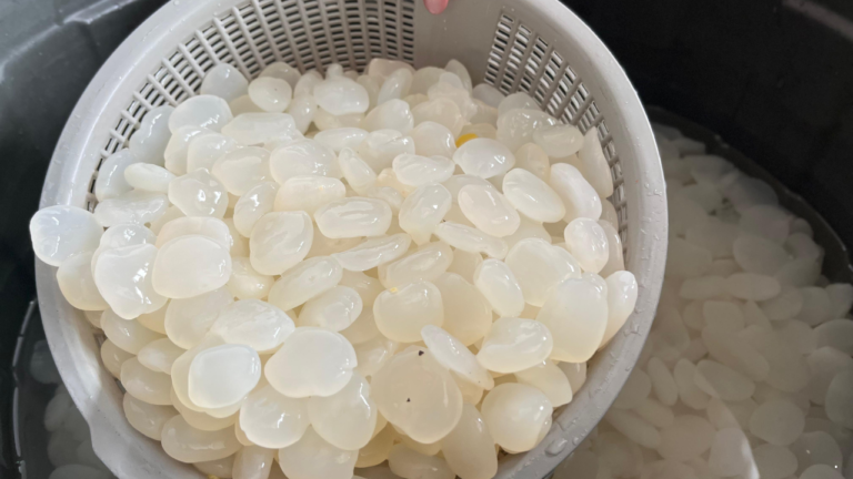 Jelang Ramadan, Kolang Kaling Rp9 Ribu Diserbu Warga Palabuhanratu