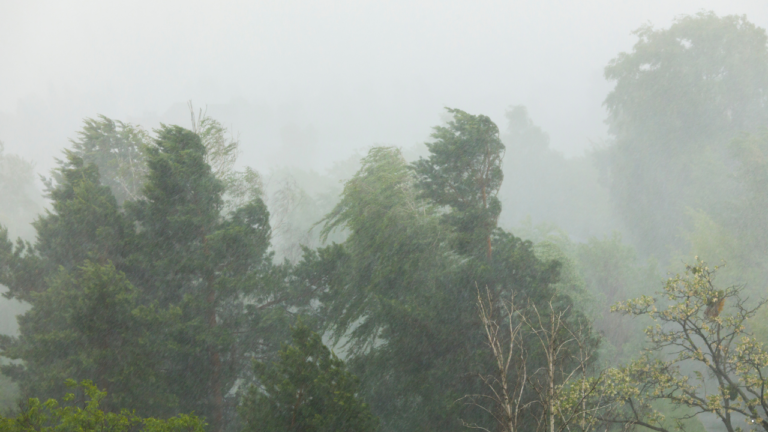 Prakiraan Cuaca Jabar 20 Februari 2026, Intensitas Hujan Meningkat Bertahap Sepanjang Hari
