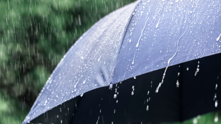 Prakiraan Cuaca Jabar 25 Februari 2026, Sebagian Besar Wilayah Berpotensi Diguyur Hujan Seharian