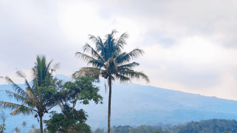 Prakiraan Cuaca Jabar 1 Februari 2026, Hujan Berpeluang Terjadi Sejak Siang