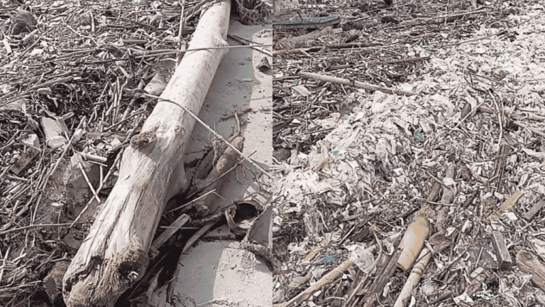 Tumpukan Sampah Pasca Banjir Rob Ganggu Pantai Ujunggenteng, Nelayan Minta Pemerintah Bertindak Cepat