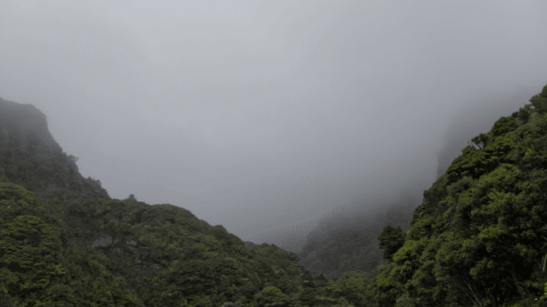 Prakiraan Cuaca Jabar 4 Februari 2026, Hujan Berpeluang Terjadi Sejak Pagi hingga Malam