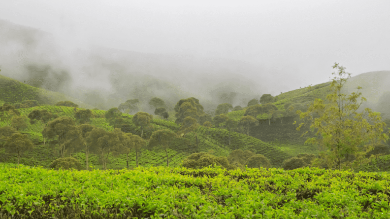Prakiraan Cuaca Jabar 23 Februari 2026, Berpotensi Hujan Lebat Sejak Pagi