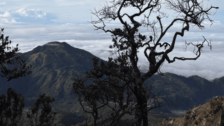 Cuaca Ekstrem Masih Mengancam, Pendakian Gunung Gede Pangrango Ditutup hingga Akhir Maret 2026
