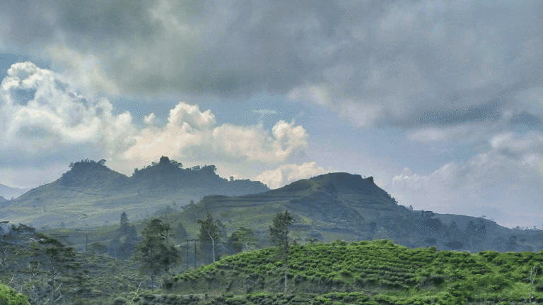 Prakiraan Cuaca Jabar 1 Maret 2026, Hujan Ringan hingga Lebat Berpotensi Terjadi