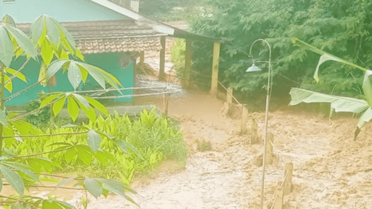 Hujan Deras Picu Sungai Pamuruyan Meluap, Puluhan Rumah dan Musala di Cibadak Terendam
