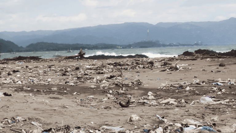 Kondisi Sampah di Bibir Pantai Citepus Palabuhanratu Jadi Sorotan, Warga Minta Perhatian Pemerintah