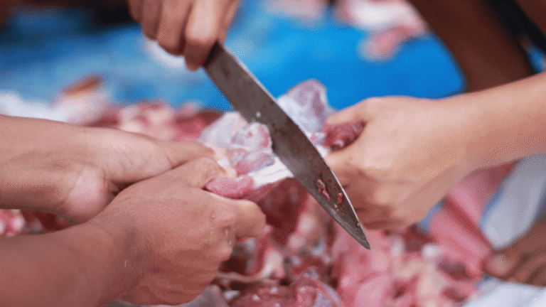 Cara Menyimpan Daging Kurban Agar Tetap Segar dan Bebas Bau, Ini Panduan Lengkapnya