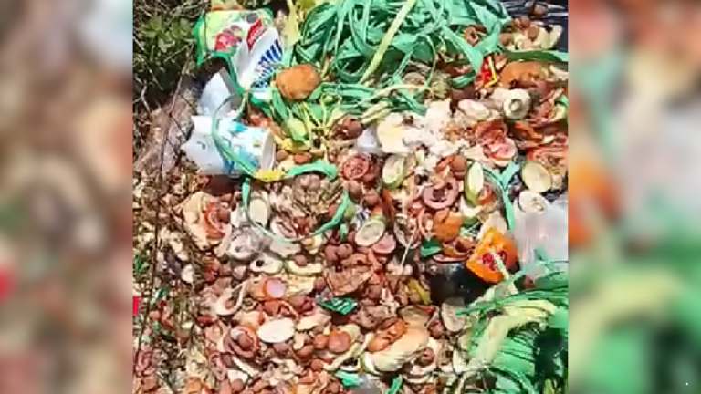 Korcam SPPG Cisaat Klarifikasi Tumpukan Sampah di Padaasih, Tegaskan Bukan Limbah MBG